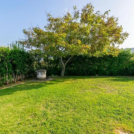 Ruza Tomislav Daire *