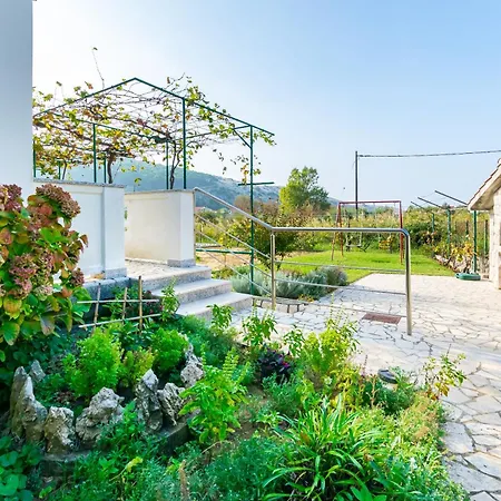 Daire Ruza Tomislav Lopar