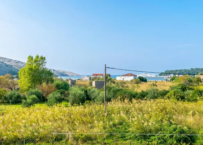 Ruza Tomislav * Lopar