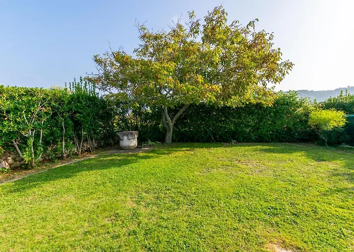 Ruza Tomislav 아파트 *